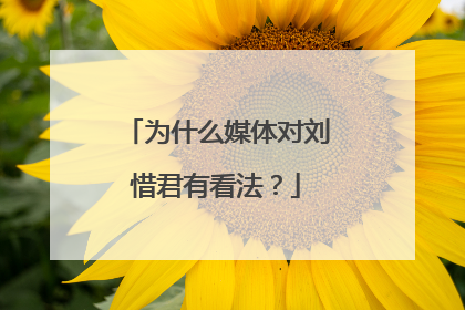 为什么媒体对刘惜君有看法?