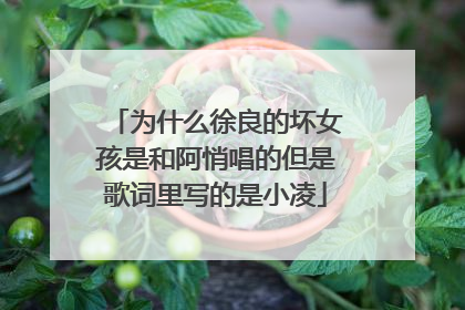 为什么徐良的坏女孩是和阿悄唱的但是歌词里写的是小凌