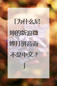 为什么尼坤的新浪微博打拼音而不是中文？
