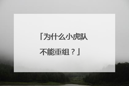 为什么小虎队不能重组?