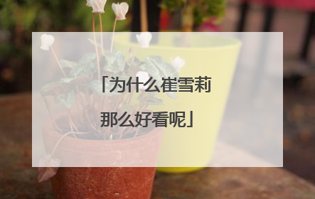 为什么崔雪莉那么好看呢