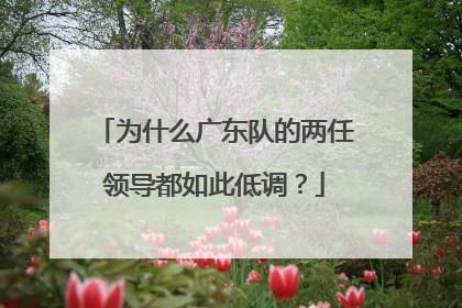 为什么广东队的两任领导都如此低调？