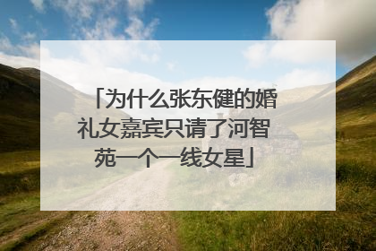 为什么张东健的婚礼女嘉宾只请了河智苑一个一线女星