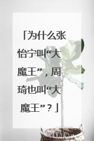 为什么张怡宁叫“大魔王”，周琦也叫“大魔王”？