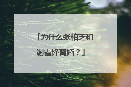 为什么张柏芝和谢霆锋离婚？