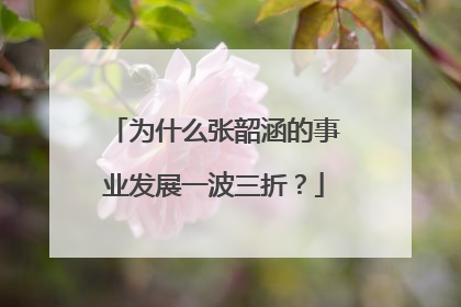 为什么张韶涵的事业发展一波三折?