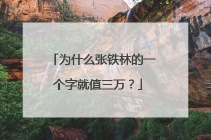 为什么张铁林的一个字就值三万？