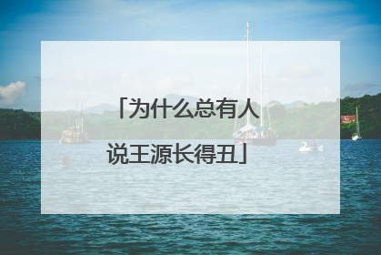 为什么总有人说王源长得丑