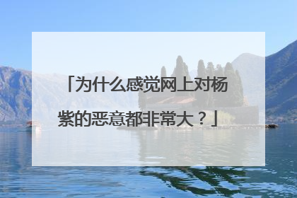 为什么感觉网上对杨紫的恶意都非常大？