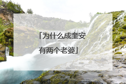 为什么成奎安有两个老婆