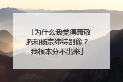 为什么我觉得萧敬腾和杨宗纬特别像?我根本分不出来