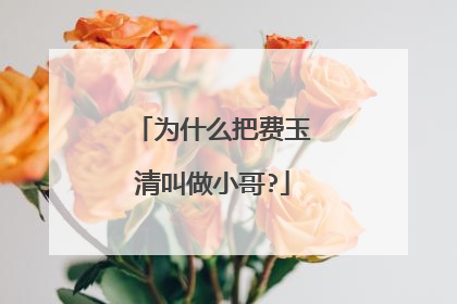 为什么把费玉清叫做小哥?