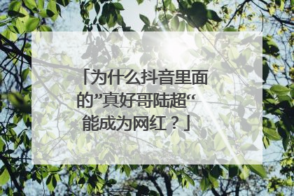 为什么抖音里面的”真好哥陆超“能成为网红?