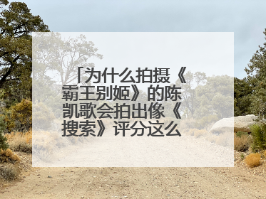 为什么拍摄《霸王别姬》的陈凯歌会拍出像《搜索》评分这么低的电影？