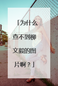 为什么查不到柳文毅的图片啊?