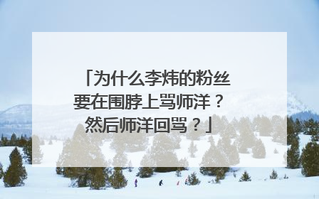 为什么李炜的粉丝要在围脖上骂师洋？然后师洋回骂？