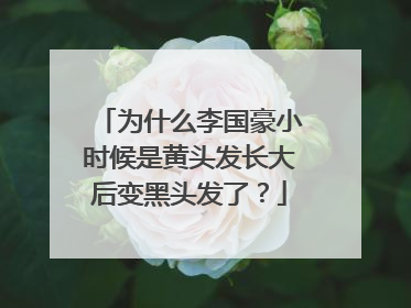 为什么李国豪小时候是黄头发长大后变黑头发了？
