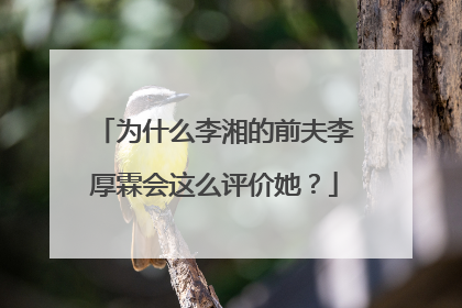 为什么李湘的前夫李厚霖会这么评价她?