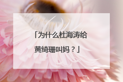 为什么杜海涛给黄绮珊叫妈？