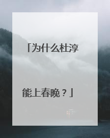 为什么杜淳能上春晚？