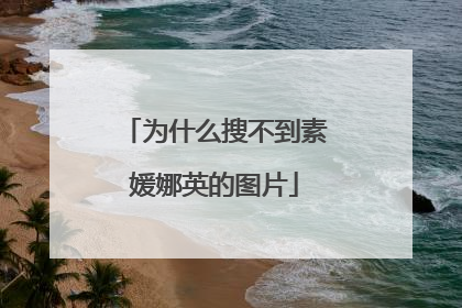 为什么搜不到素媛娜英的图片
