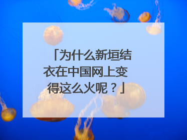 为什么新垣结衣在中国网上变得这么火呢?