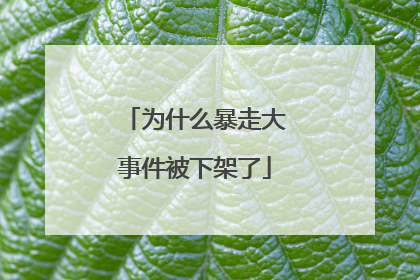 为什么暴走大事件被下架了