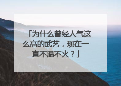 为什么曾经人气这么高的武艺，现在一直不温不火？