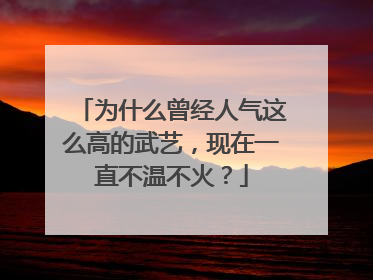 为什么曾经人气这么高的武艺,现在一直不温不火?