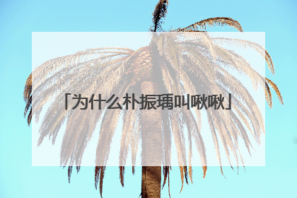 为什么朴振瑀叫啾啾
