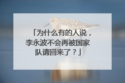 为什么有的人说,李永波不会再被国家队请回来了?