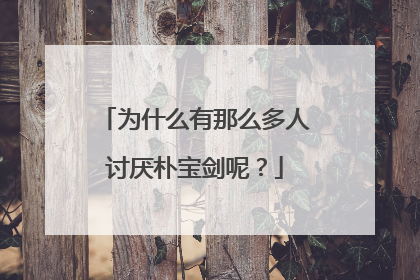 为什么有那么多人讨厌朴宝剑呢?