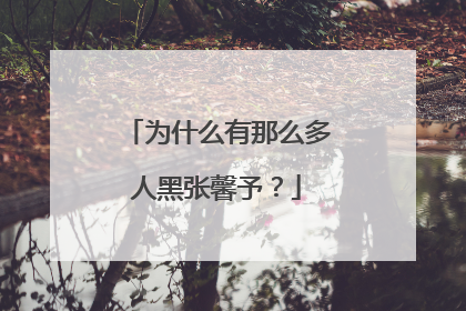 为什么有那么多人黑张馨予?