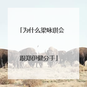 为什么梁咏琪会跟郑伊健分手