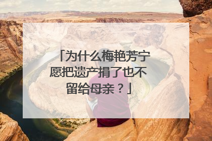 为什么梅艳芳宁愿把遗产捐了也不留给母亲？