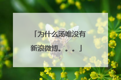 为什么汤唯没有新浪微博。。。