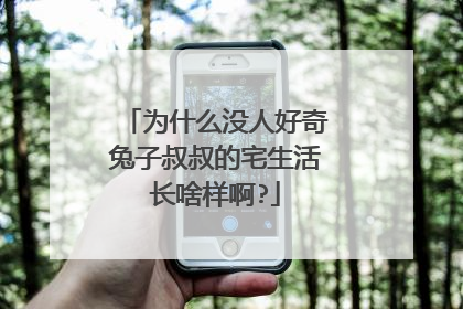 为什么没人好奇兔子叔叔的宅生活长啥样啊?