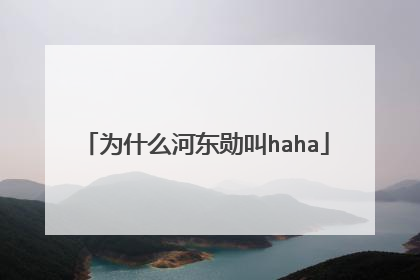 为什么河东勋叫haha