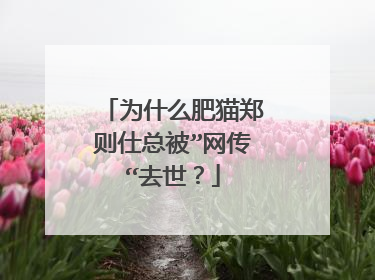 为什么肥猫郑则仕总被”网传“去世？