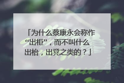 为什么蔡康永会称作“出柜”,而不叫什么出枱,出凳之类的?