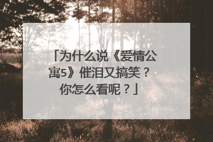 为什么说《爱情公寓5》催泪又搞笑？你怎么看呢？