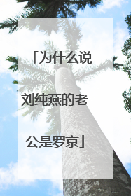 为什么说刘纯燕的老公是罗京