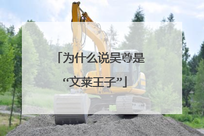 为什么说吴尊是“文莱王子”