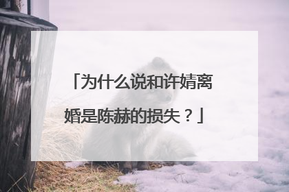 为什么说和许婧离婚是陈赫的损失？