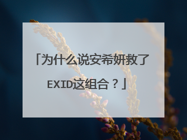 为什么说安希妍救了EXID这组合?