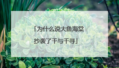 为什么说大鱼海棠抄袭了千与千寻