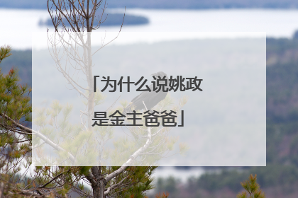 为什么说姚政是金主爸爸