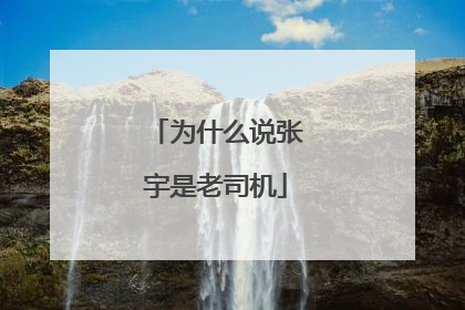 为什么说张宇是老司机