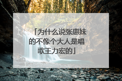 为什么说张惠妹的不像个大人是唱歌王力宏的