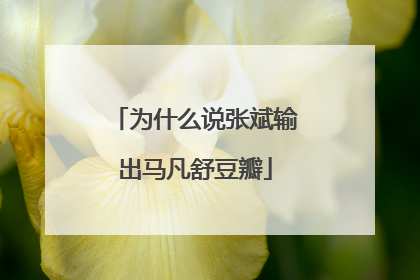 为什么说张斌输出马凡舒豆瓣